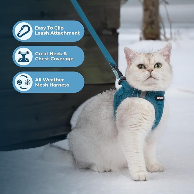 Voyager Step-in Pet Harness - All Weather Mesh, Adjustable Step in Harness for Cats and Dogs by Best Pet Supplies - 307S Turquoise, S