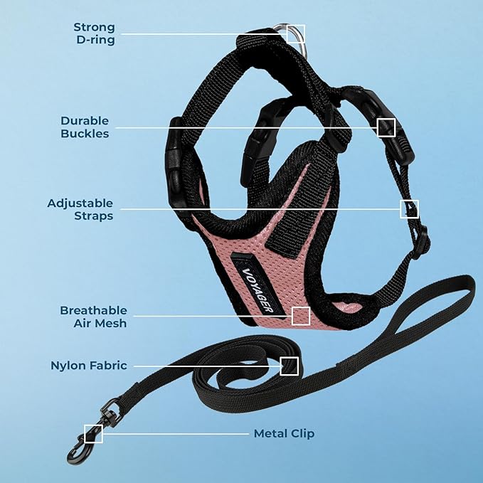 Voyager Step-in Lock Adjustable Cat Harness w. Cat Leash Combo Set with Neoprene Handle 5ft - Supports Small, Medium and Large Breed Cats by Best Pet Supplies - Pink/Black Trim, XS