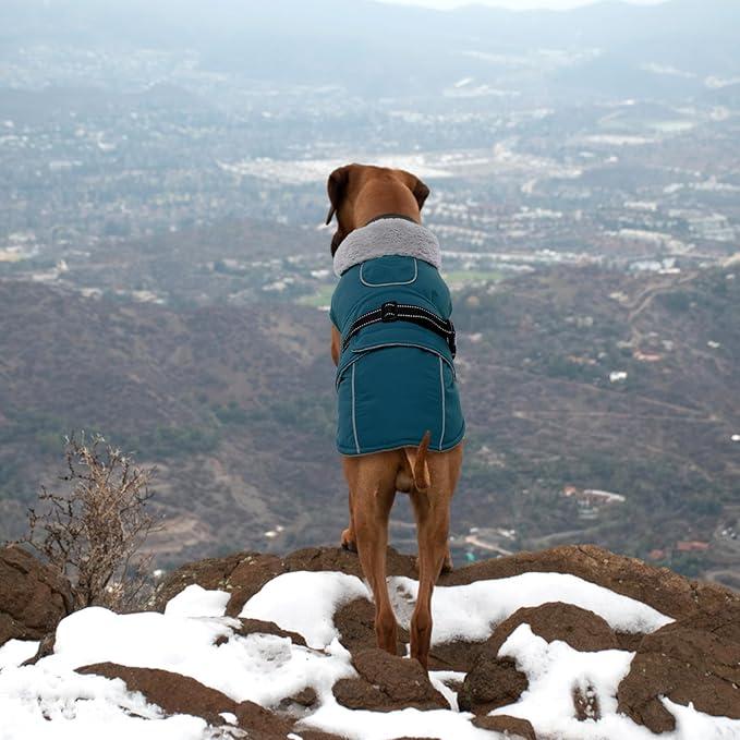 Lelepet Warm Dog Coat Reflective Fleece Vest Waterproof Dog Jacket with Adjustable Buckle Hook & Loop Windproof Cold Weather Coats for Small Medium Large Dogs, Dark Green, M
