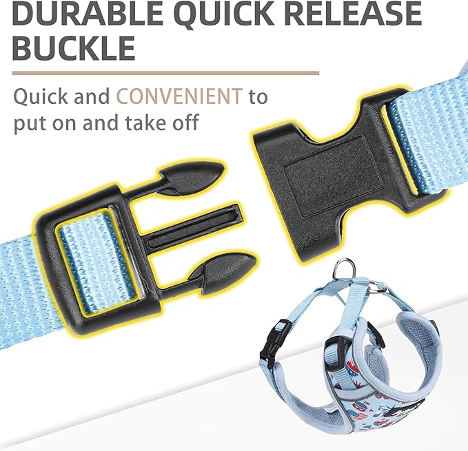 PUPTECK Small Dog Harness and Leash Set, No Pull Adjustable Puppy Cat Harness, Reflective Soft Mesh Pet Vest Small Sized