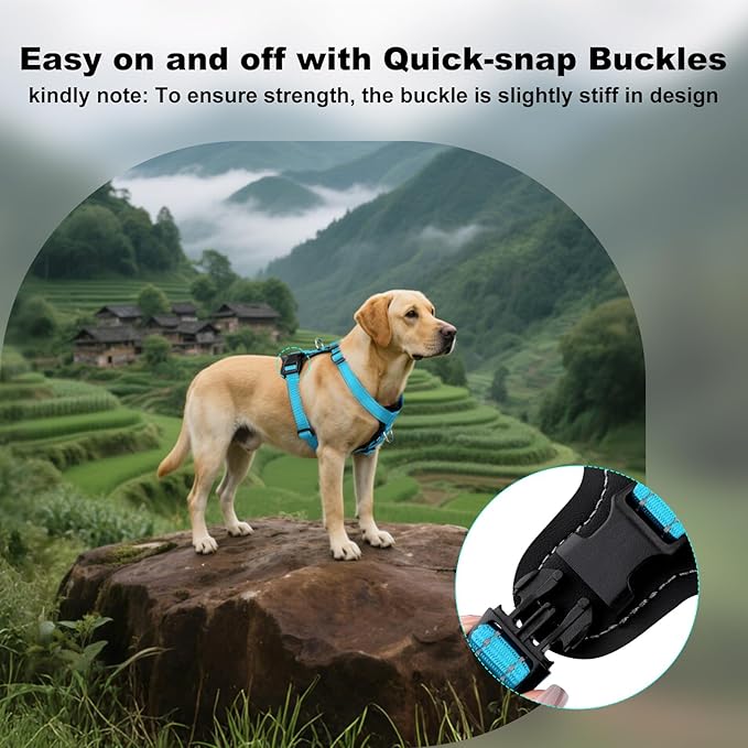 Plutus Pet Adjustable No Pull Dog Harness with Leather Accents, Heavy Duty Reflective Nylon Vest for Training, Hiking, Easy Walk Harness for Small, Medium, Large Dogs (Light Blue, S)