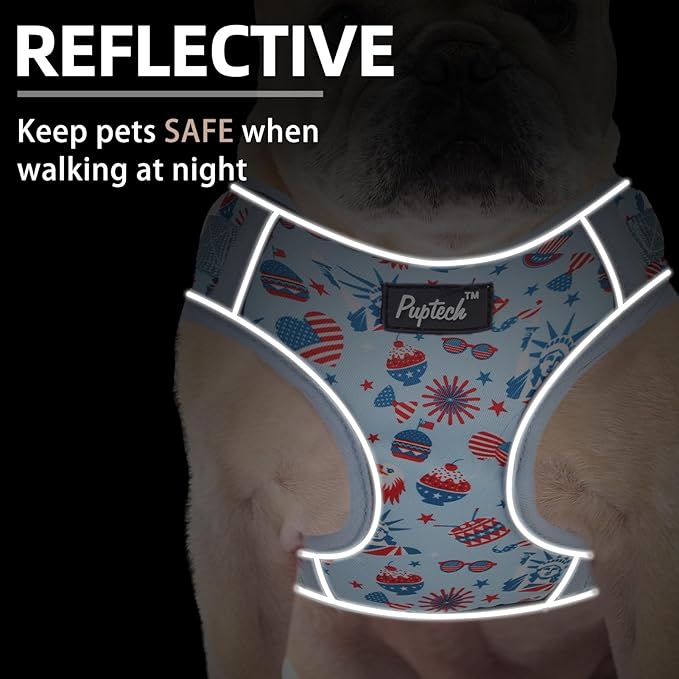 PUPTECK Small Dog Harness and Leash Set, No Pull Adjustable Puppy Cat Harness, Reflective Soft Mesh Pet Vest Small Sized