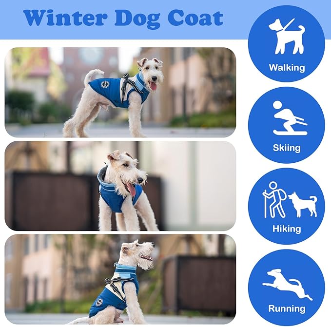Winter Dog Coat & Jacket Combo, Waterproof & Windproof Turtleneck Fleece Vest with Harness, Reflective Dog Jacket & Snowsuit for Small to Large Dogs, Blue XXL
