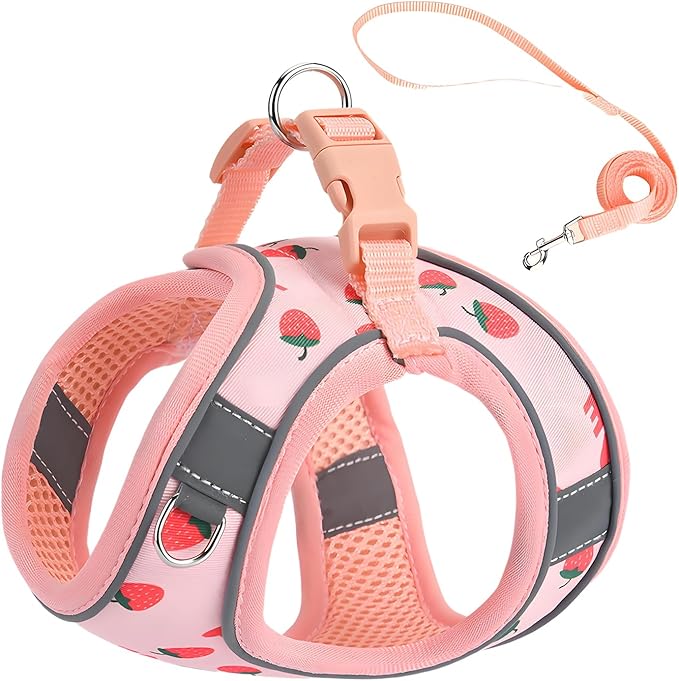 Step in Dog Harness and Leash Set, Flower Adjustable Easy Walk Puppy Harnesses, Soft Mesh No Pull Pet Vest Harness for Small Medium Dogs(Strawberry, S)