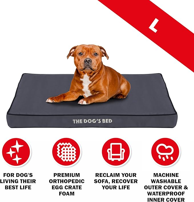 The Dog’s Bed Orthopedic Dog Bed, Large Grey with Black Trim, Waterproof, Supportive Dog Bed with Washable Replaceable Covers, Veterinary Approved