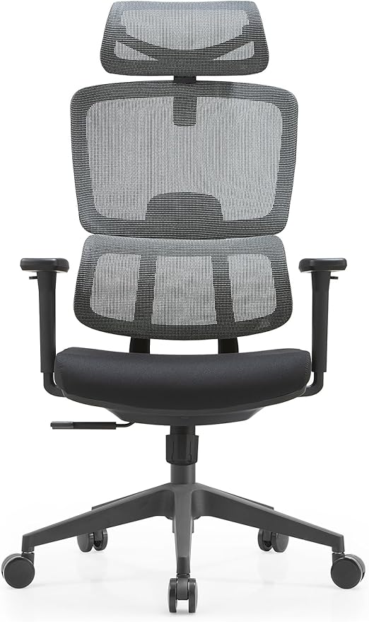 Premium Mesh Executive Home Office Desk Chair, with Ergonomic Lumbar, Black
