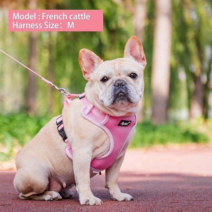 PUPTECK Small Dog Harness and Leash Set, No Pull Adjustable Puppy Cat Harness, Reflective Soft Mesh Pet Vest Medium Sized