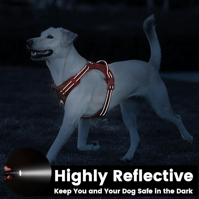No Pull Dog Harness, Reflective Puppy Vest for Small Medium Large Sized Dog(Orange,XL)