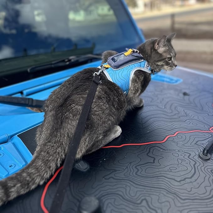 TRAVEL CAT The Pathfinder Cat Harness with GPS Tracker Pocket - Powered by Tractive Cat Harness Escape Proof - Walking Escape Proof Cat Harness for Small, Large, Kitten (Blue, Medium)