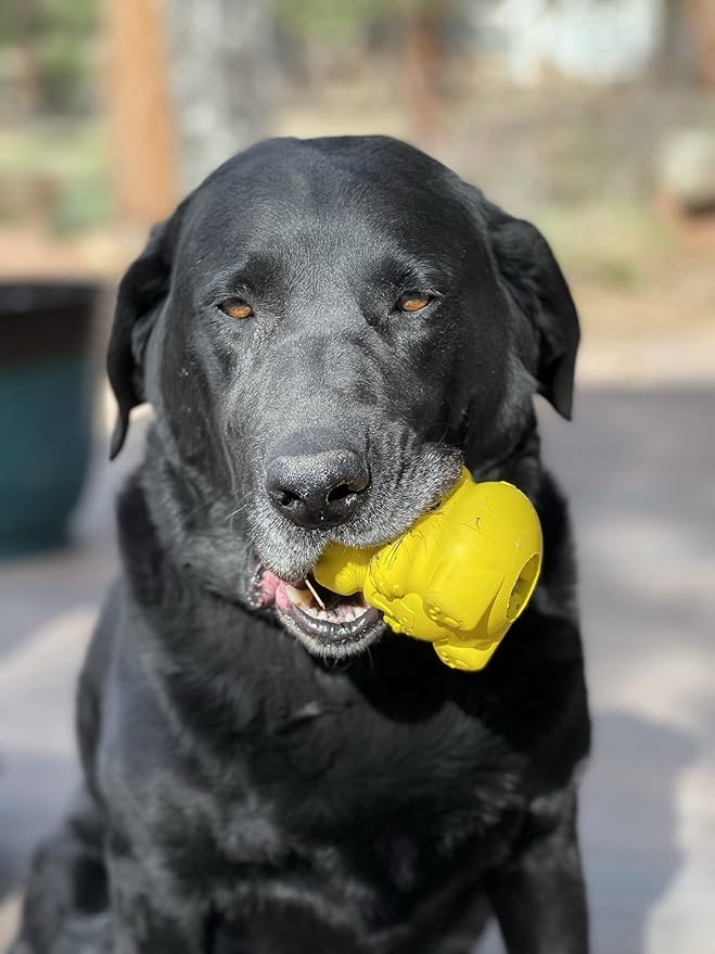 SodaPup Honey Bear – Durable Dog Treat Dispenser & Chew Toy Made in USA from Non-Toxic, Pet Safe, Food Safe Natural Rubber Material for Mental Stimulation, Problem Chewing, Calming Nerves, & More