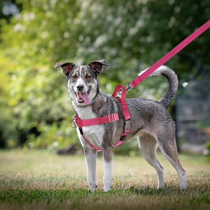Annchwool Adjustable Dog Harness-Lightweight No Pull Dog Harness with Handle for Small & Medium and Large Dogs-Front Clip Easy for Walking Vest Harness(Red,M)