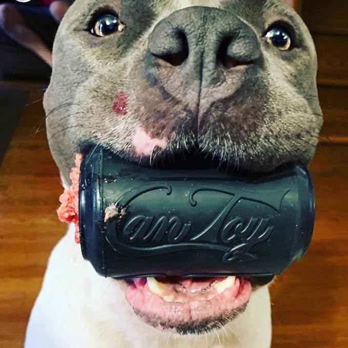 SodaPup Magnum Soda Can – Dog Treat Dispenser & Chew Toy Made in USA from Our Most Durable Non-Toxic, Pet-Safe, Food Safe Natural Rubber for Mental Stimulation, Problem Chewing, Calm Nerves, & More