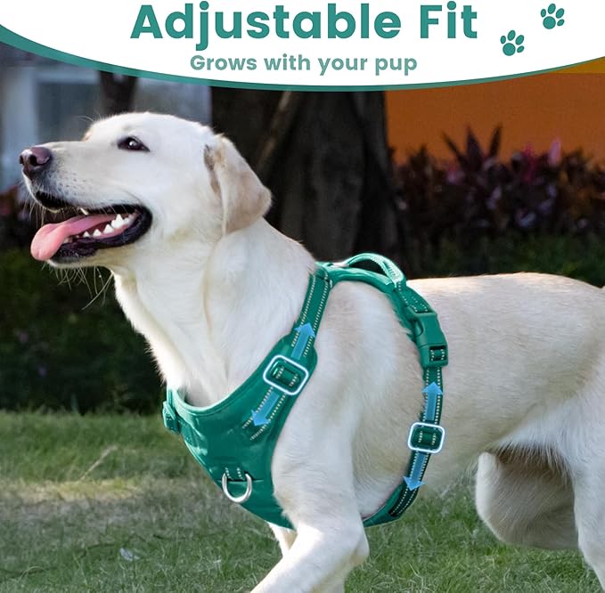 No Pull Dog Harness, Reflective Puppy Vest for Small Medium Large Sized Dog(MARRS Green,XL)