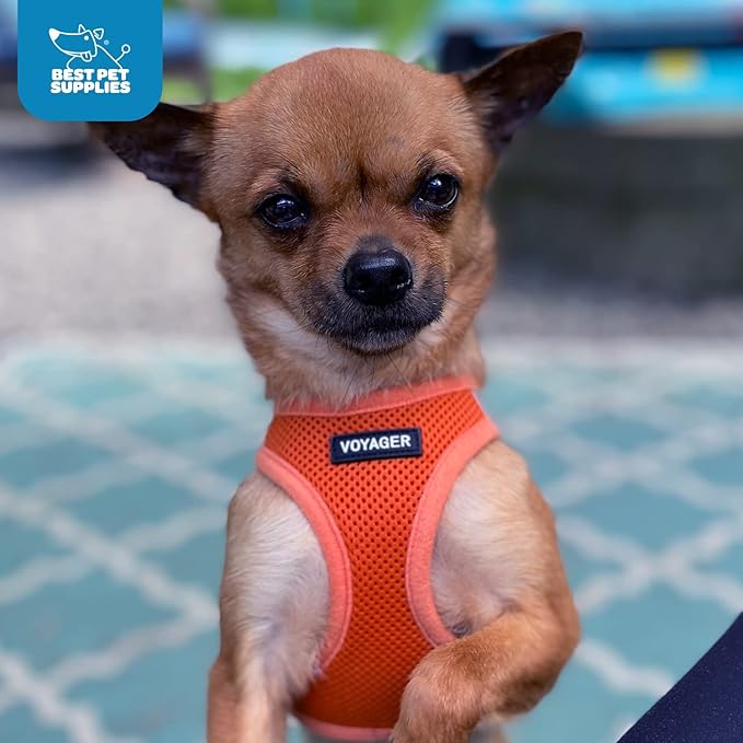 Best Pet Supplies Voyager Step-in Air Harness - All Weather Mesh, Reflective, No Pull Harness for Dogs, Cats - Secure with Hook & Loop Fastener, Buckle, Double D-Rings - Orange, S