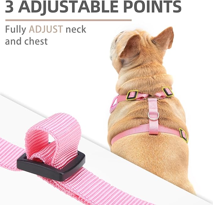 PUPTECK Small Dog Harness and Leash Set, No Pull Adjustable Puppy Cat Harness, Reflective Soft Mesh Pet Vest Medium Sized