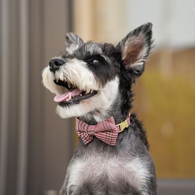 Beirui Cute Small Dog Harness Collar and Leash Set with Bowtie, Soft Adjustable Plaid Puppy Harness for Small Sized Dogs Cats Walks Parties and Photoshoots(Maroon,S:Chest 17-23")