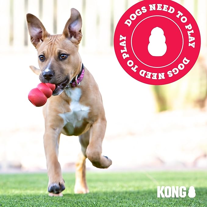 KONG - Rewards Ball - Ultra Durable Interactive Treat Dispensing Dog Toy - for Large Dogs