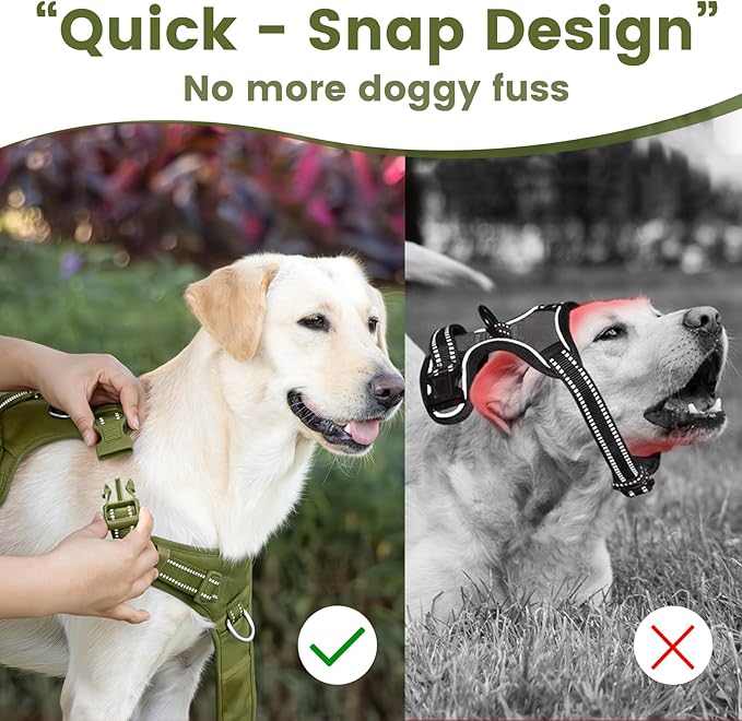 No Pull Dog Harness, Reflective Puppy Vest for Small Medium Large Sized Dog (Misty Green,XS)