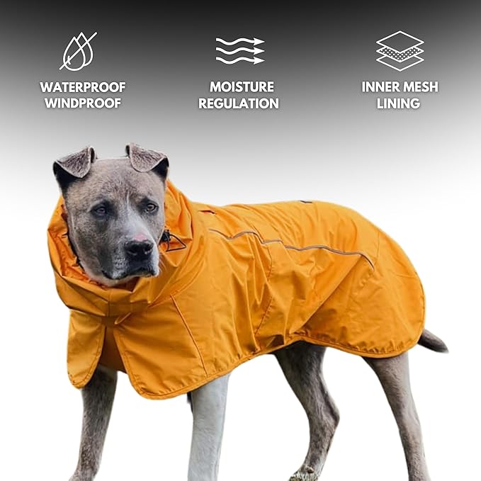 Spark Paws Dog Raincoat, Waterproof Windproof Rain Jacket, for Small Medium Large Extra Large Dogs, Reflective Breathable Full-Body Coverage Dry Suit - Mustard Yellow - L
