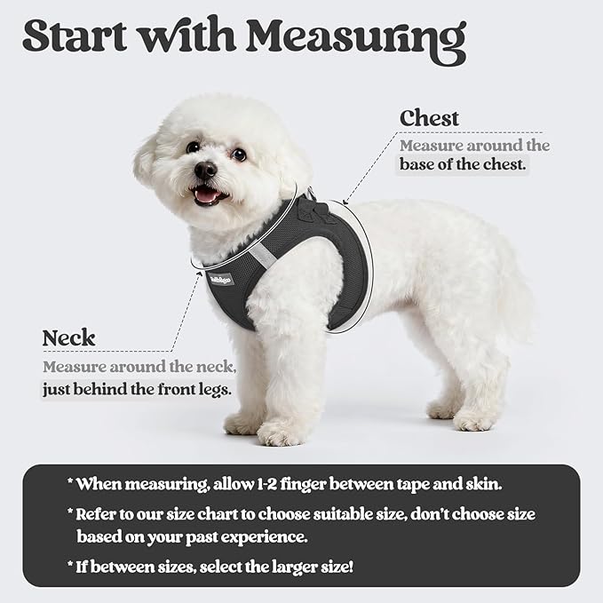 rabbitgoo Dog Harness Small Medium Sized and Leash Set, Step in Soft Light Puppy Vest, Breathable Mesh Pet Harness, Reflective for Safe Easy Walking, Black L