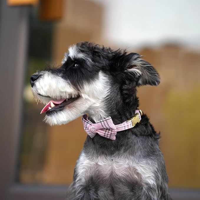 Beirui Cute Extra Small Dog Harness Collar and Leash Set with Bowtie, Soft Adjustable Plaid Puppy Harness for Small Sized Dogs Cats Walks Parties and Photoshoots(Pink,XS:Chest 13-18")