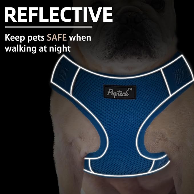 PUPTECK Small Dog Harness and Leash Set, No Pull Adjustable Puppy Cat Harness, Reflective Soft Mesh Pet Vest Small Sized