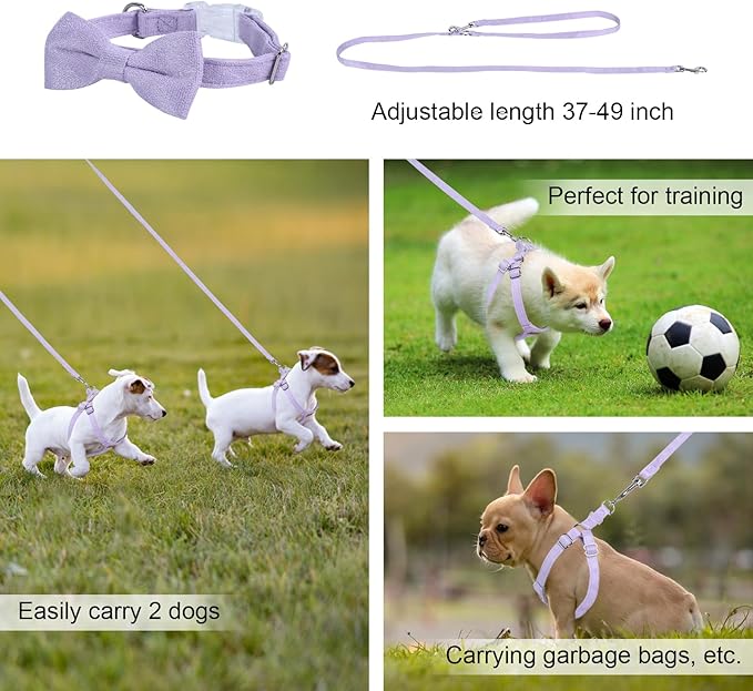 Dog Harness and Leash Set, XXS No Pull Adjustable Puppy Harness with Multifunction Purple Dog Leash and Collar, Soft No Choke Escape Proof Pet Harness Vest for Small Dogs and Cats (Purple, XXS)