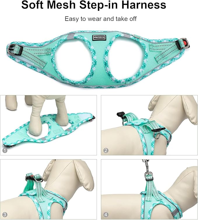 Mercano Soft Mesh Dog Harness and Leash Set, No-Chock Step-in Reflective Breathable Lightweight Easy Walk Vest Harnesses with Safety Buckle for Small Dogs, Cats (Light Green, XXS)