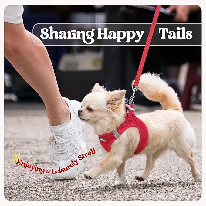 rabbitgoo Dog Harness Small Sized and Leash Set, Step in Soft Light Puppy Vest, Breathable Mesh Pet Harness, Reflective for Outdoor Safe Walking, Red XL