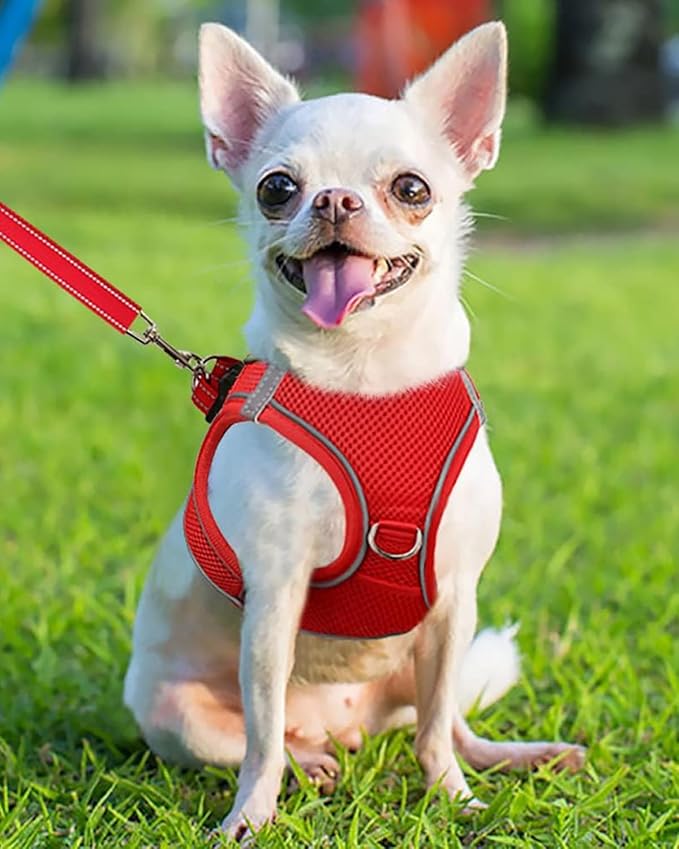 Joytale Small Dog Harness, Breathable Mesh Step-in Vest, Reflective Soft Padded Harnesses for Puppies and Extra Small Dogs, Red, XS