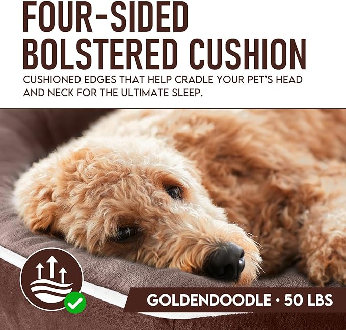 OhGeni Orthopedic Big Dog Couch Pet Sofa XL Sized Cat Beds with Comfort Foam Support, Soft Comfortable Fabric, Machine Washable Waterproof Removable Cover, 42-Inch (Brown)