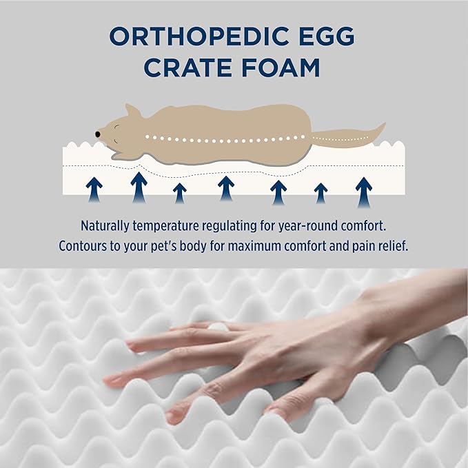 Bedsure Giant Dog Bed for Jumbo Dogs - 54" x 44" Flat Pet Beds with Removable Washable Cover, Orthopedic Egg Crate Foam Mat for Pet Up to 150 lbs, Not for Crate