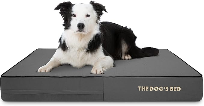 The Dog’s Bed Orthopedic Memory Foam Dog Bed, Large Grey & Black 40x25, Waterproof, Supportive Dog Bed with Replaceable Covers, Veterinary Approved
