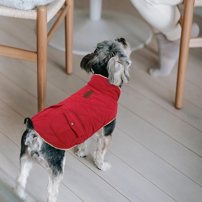 Queenmore Warm Dog Coat, Cold Weather Puffer Jacket with Ultra Thick Plush Lining and Storage Pockets (Red, Large)