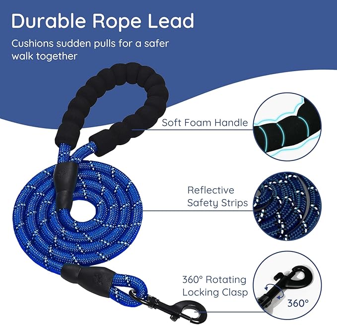 BELLA & PAL Step in Vest Harness for Small and Medium Dogs, No Pull Small Dog Harness with Leash Set, Comfortable Air Mesh Dog Vest Harness with Reflective Strip (Sapphire(Round Rope), XXS)