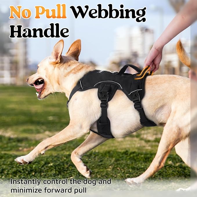 rabbitgoo Escape Proof Dog Harness, Soft Padded Full Body Pet Harness, Reflective Adjustable No Pull Vest with Lift Handle and Leash Clip for Large Dogs Walking Hiking Training, M, Black
