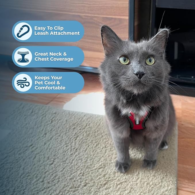 Voyager Step-in Lock Adjustable Cat Harness w. Cat Leash Combo Set with Neoprene Handle 5ft - Supports Small, Medium and Large Breed Cats by Best Pet Supplies - Red/Black Trim, XXS