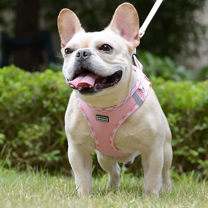 Mercano Soft Mesh Dog Harness and Leash Set, No-Chock Step-in Reflective Breathable Lightweight Easy Walk Vest Harnesses with Safety Buckle for Small Dogs, Cats (Pink, XL)