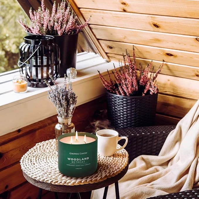 Colonial Candle Woodland Retreat Scented Jar Candle, Pop of Color Collection, 3 Wick, 14.5 oz - Up to 60 Hours Burn