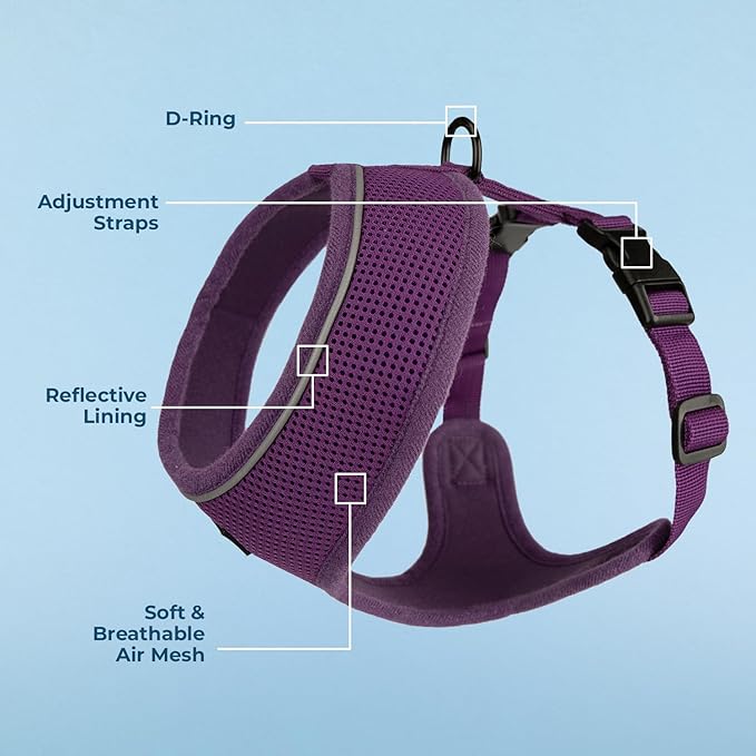 Best Pet Supplies Voyager Aerolite No Pull Mesh Dog Harness, Reflective Stitching, Breathable Harness, Adjustable for Walking, Training, Running, Heavy Duty and Durable, Purple, M