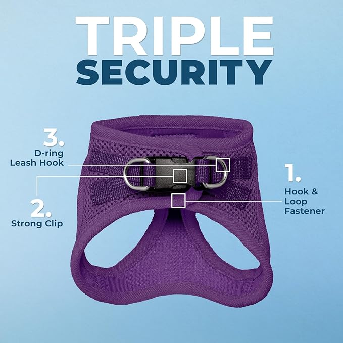 Voyager Step-in Pet Harness - All Weather Mesh, Adjustable Step in Harness for Cats and Dogs by Best Pet Supplies - 307S Purple, XS