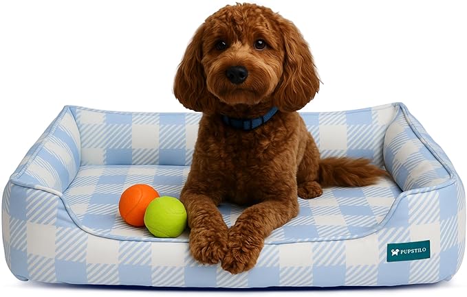 Orthopedic Bolster Dog Bed β CertiPUR-US Foam, Recycled Polyester Canvas, Washable Cover, Anti-Slip Bottom, Medium, Light Blue Check β Stylish Designer Dog Sofa
