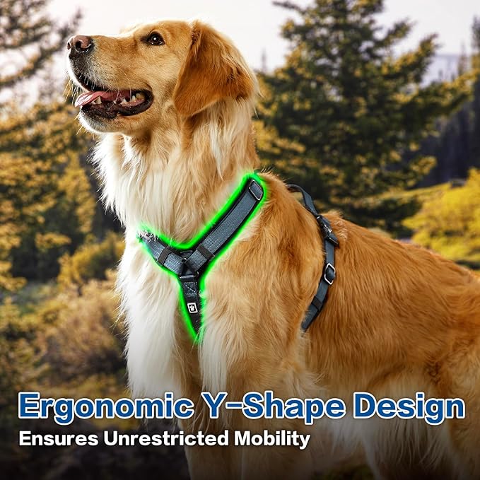 PawsPassion Dog Harness for X-Large Dogs, No Pull Dog Harness Easy Walk with Metal Hardware, Ergonomic Y-Shaped Design, Soft Padding, Padded Handle, Durable High-Tensile Nylon (Nightfall, XL)