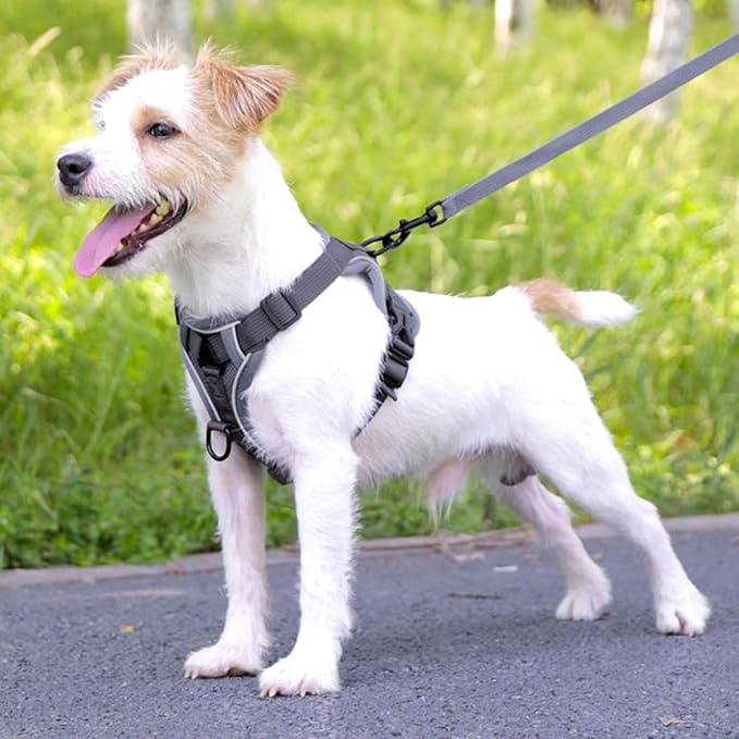 Cat Harness and Leash for Walking, Escape Proof Soft Adjustable Vest Harnesses for Cats (Grey, Large)