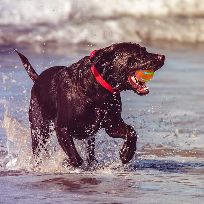 Dog Balls, Interactive Dog Toys, Smart Automatic Active Rolling Moving Ball for Medium/Large Dogs, Fun Dog Toys to Keep Pet Busy,Birthday Gifts,USB Rechargeable, Orange