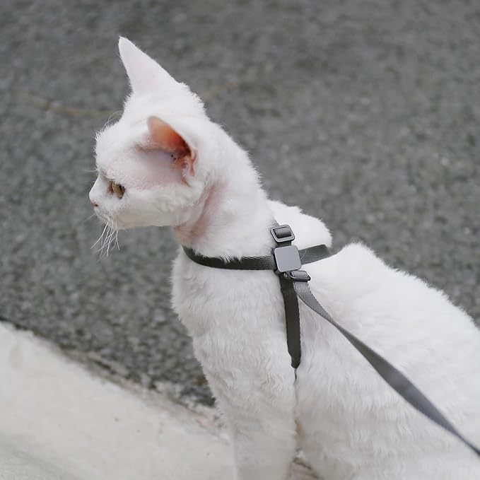 Cat Harness Escape-Proof Anti-Choking Adjustable Nylon Harness Lightweight with Anodized Aluminum Buckle, Ideal for Cats Outdoor Walking and Training, IDA Award (Blush Pink, L (21.7"))