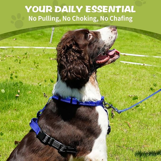 No-Pull Harness,Y-Shaped Design,Buckle-Neck Balance Harness with Reflective Stitching, Ideal for Dog Training and Night Walking, Padded Handle, Durable High-Tensile Nylon-Blue-XL