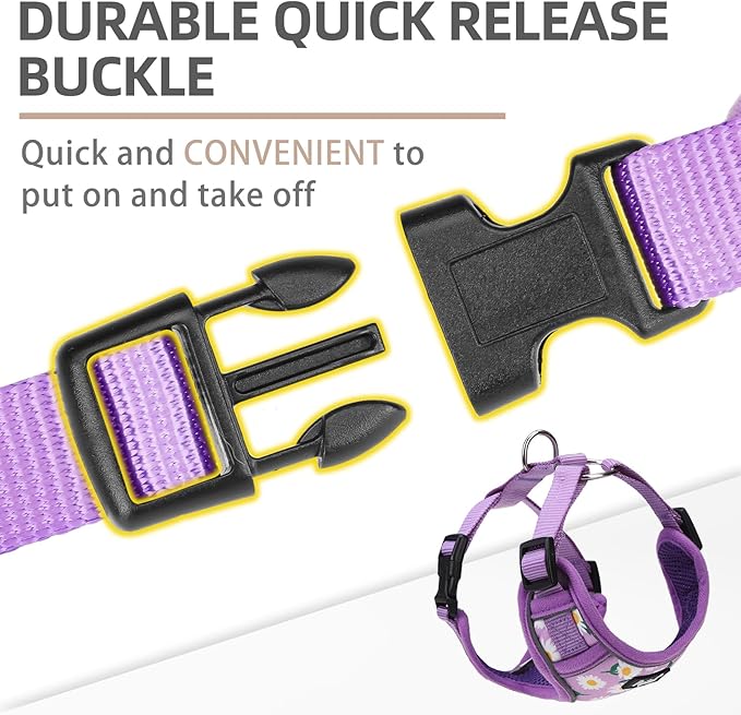 PUPTECK Small Dog Harness and Leash Set, No Pull Adjustable Puppy Cat Harness, Reflective Soft Mesh Pet Vest Small Sized