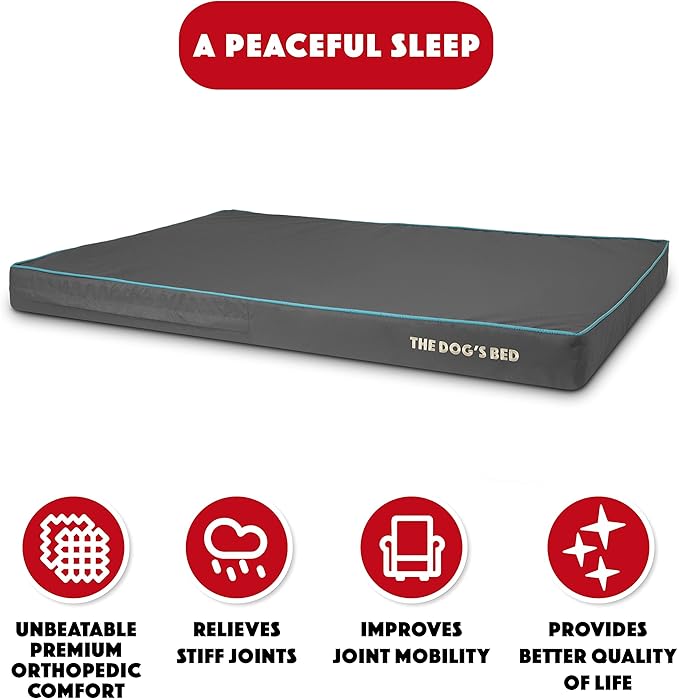 The Dog’s Bed Orthopedic Memory Foam Dog Bed, XXL Grey/Blue 54x36x4, Pain Relief for Arthritis, Hip & Elbow Dysplasia, Post Surgery, Lameness, Supportive, Calming, Waterproof Washable Cover