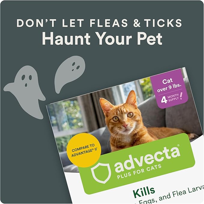 Advecta Plus Flea Prevention For Cats, Cat and Kitten Treatment & Control, Small and Large, Fast Acting Waterproof Topical Drops, 4 Month Supply